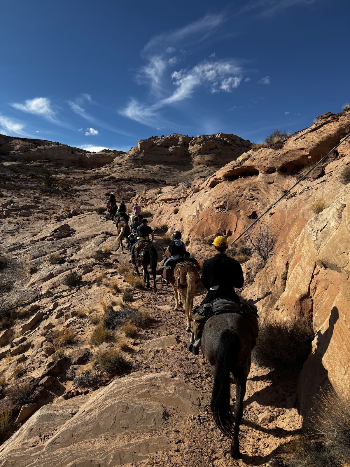 Backcountry Horseback Adventure in Utah’s Wildland