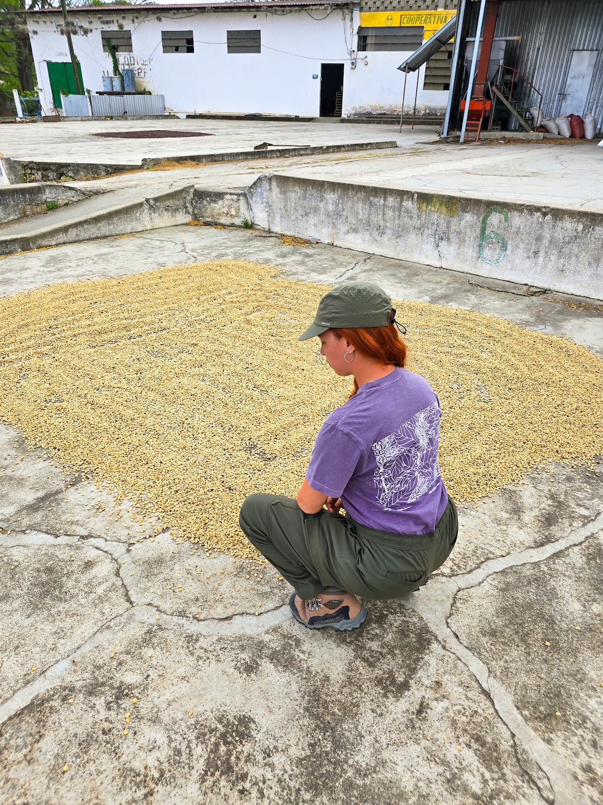 Roots, Coffee and Culture at Utuado