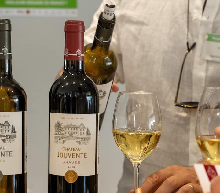 Открийте виното по различен начин с винопроизводител