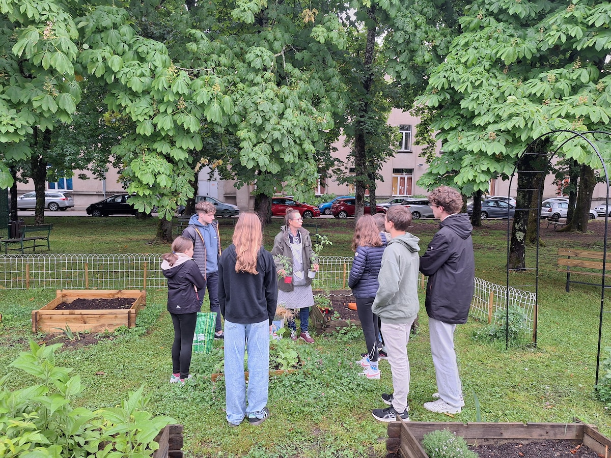 Discovery & Inspiration in the Garden Forest