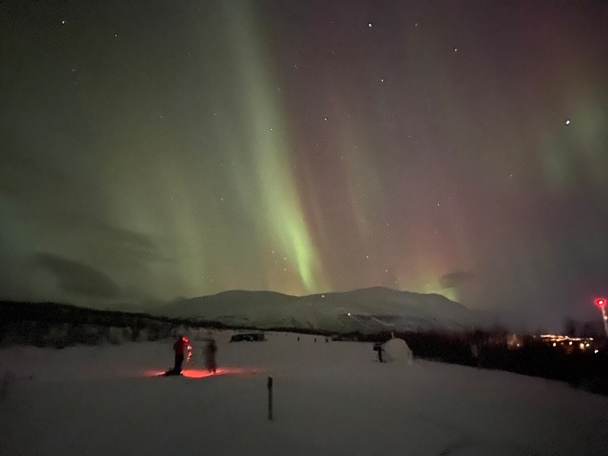 Abisko Arctic Ecology and Northern Lights Tour