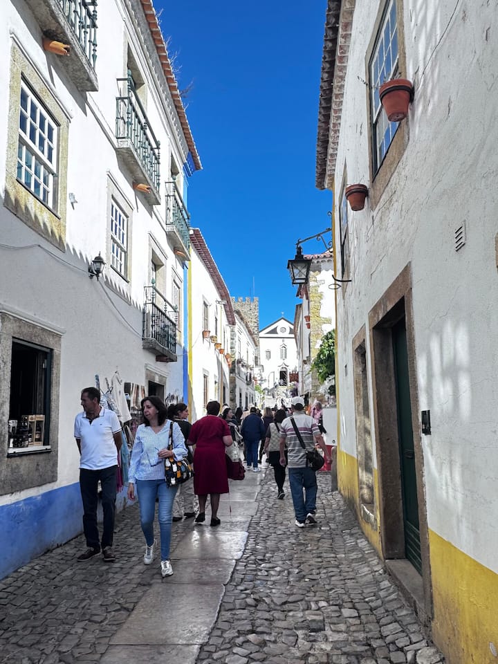 ლისაბონიდან პორტომდე ობიდოსისა და კოიმბრის გავლით