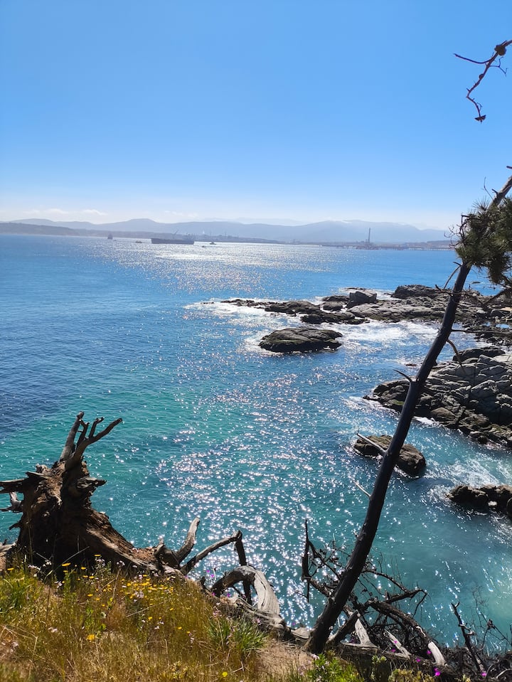 Да се разходим от прасковата до пещерата на пирата