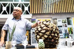 Experiencia de tequila y mezcal para amigos de un hostal