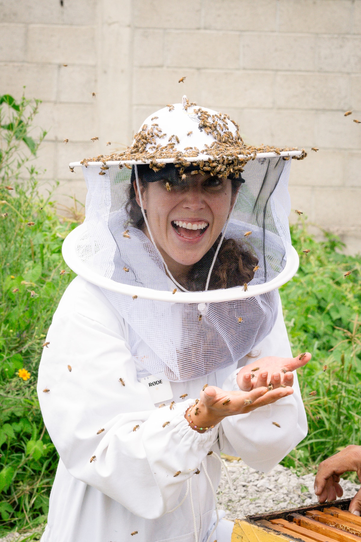 Beekeepers Day -  an afternoon among bees