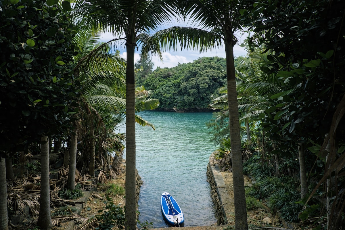 Hidden Jungle Mangrove Sup Adventure