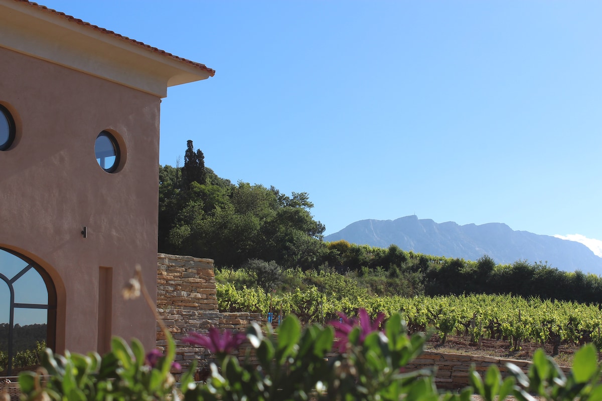 Wine Tasting & Cellar Tour  Château Henri Bonnaud