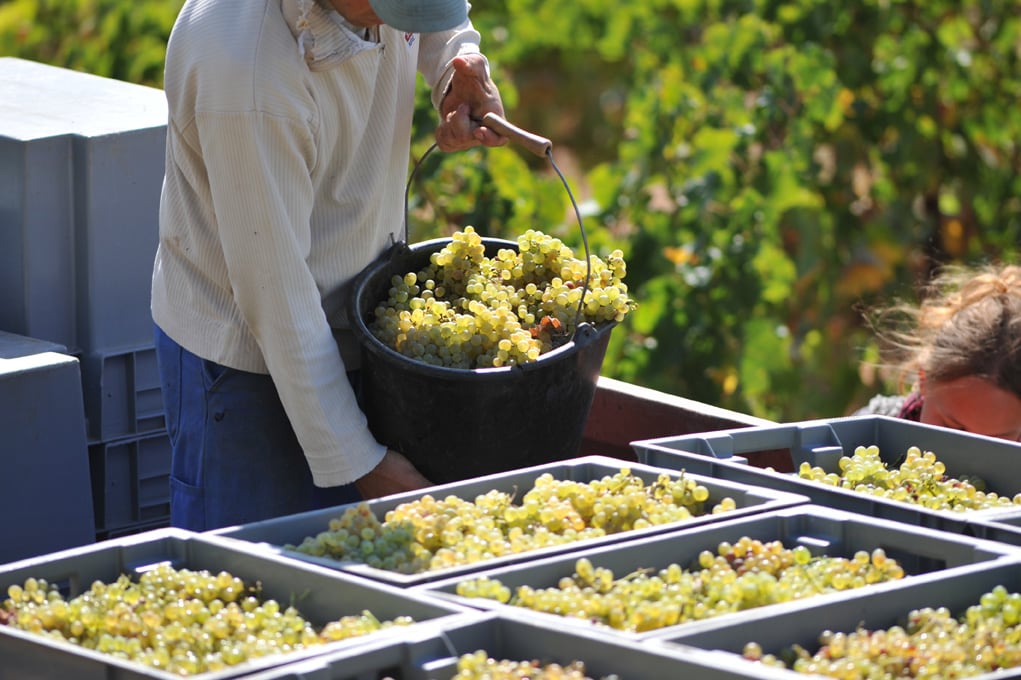 Tour and Tasting - Premium Package