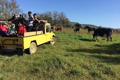 Safari en jeep de medio día por el Algarve