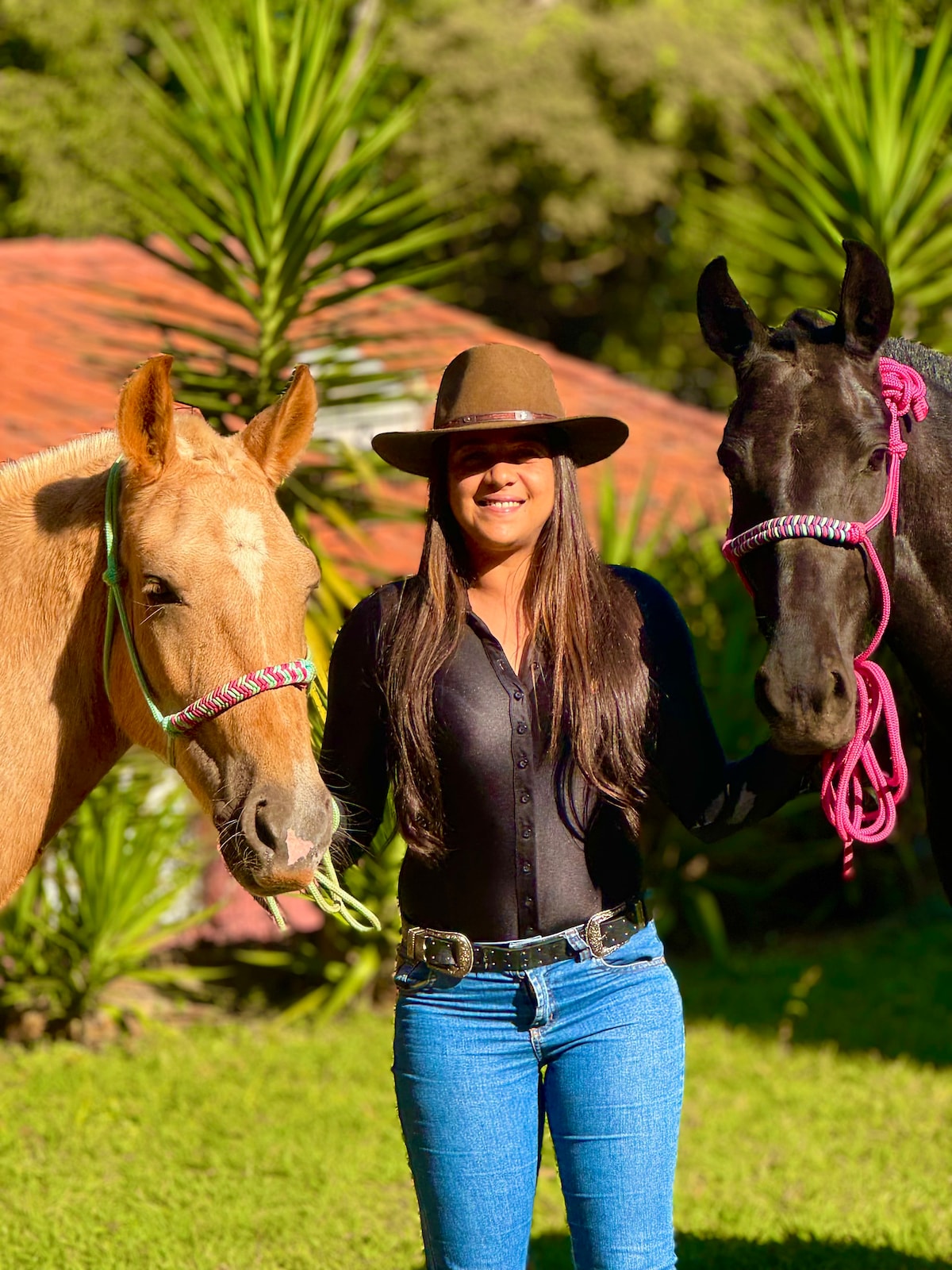 Equestrian experience, simple and easy