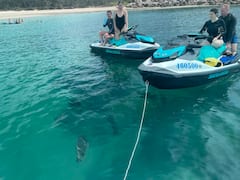 סיור בשייט קיאק, אופנועי ים ושנורקלינג באי מגנטי
