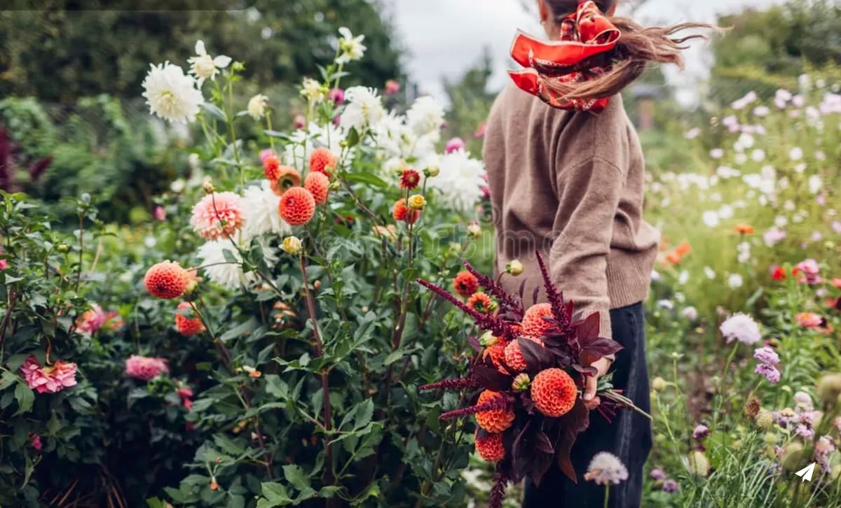 Create with flowers in the garden with a florist