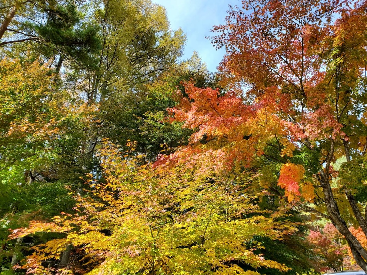 Izu scenic onsen escape and local food journey