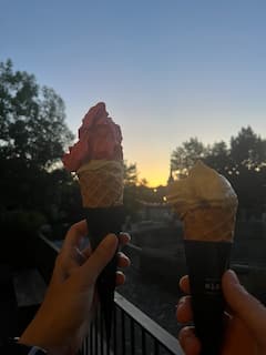 当地美食：伯尔尼的隐秘美食和历史