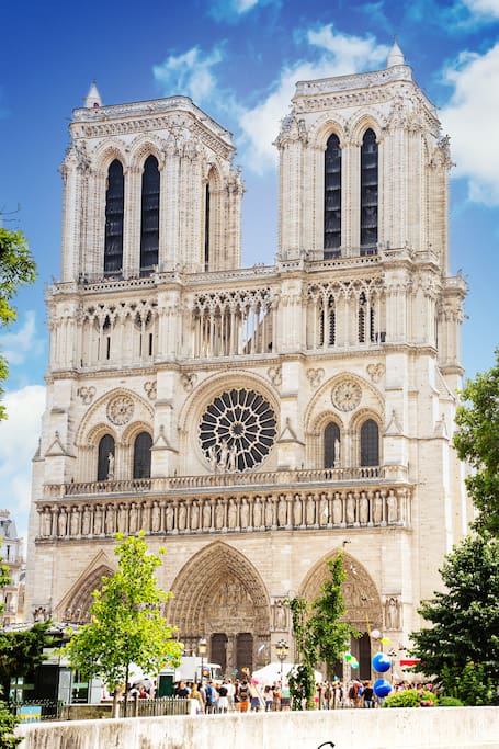 Notre-Dame Reborn: small-group guided visit inside