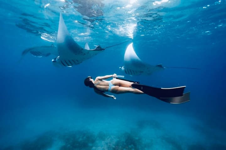 Гмуркане с шнорхел и обиколка на сушата с обяд в Нуса Пенида