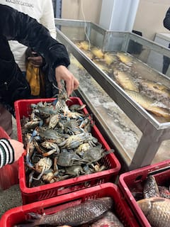 美食之旅：当历史与美食成为故事