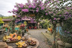 Experiencia mágica de jugos de jardín: frutas exóticas