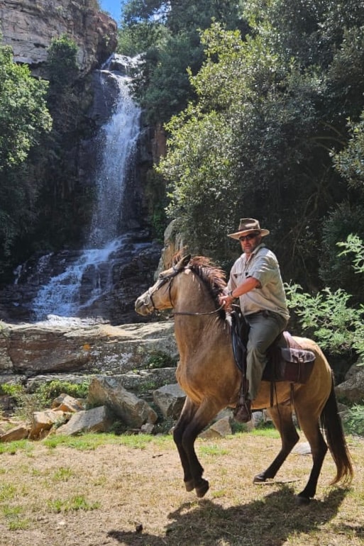 Horse trails and cattle herding from horseback