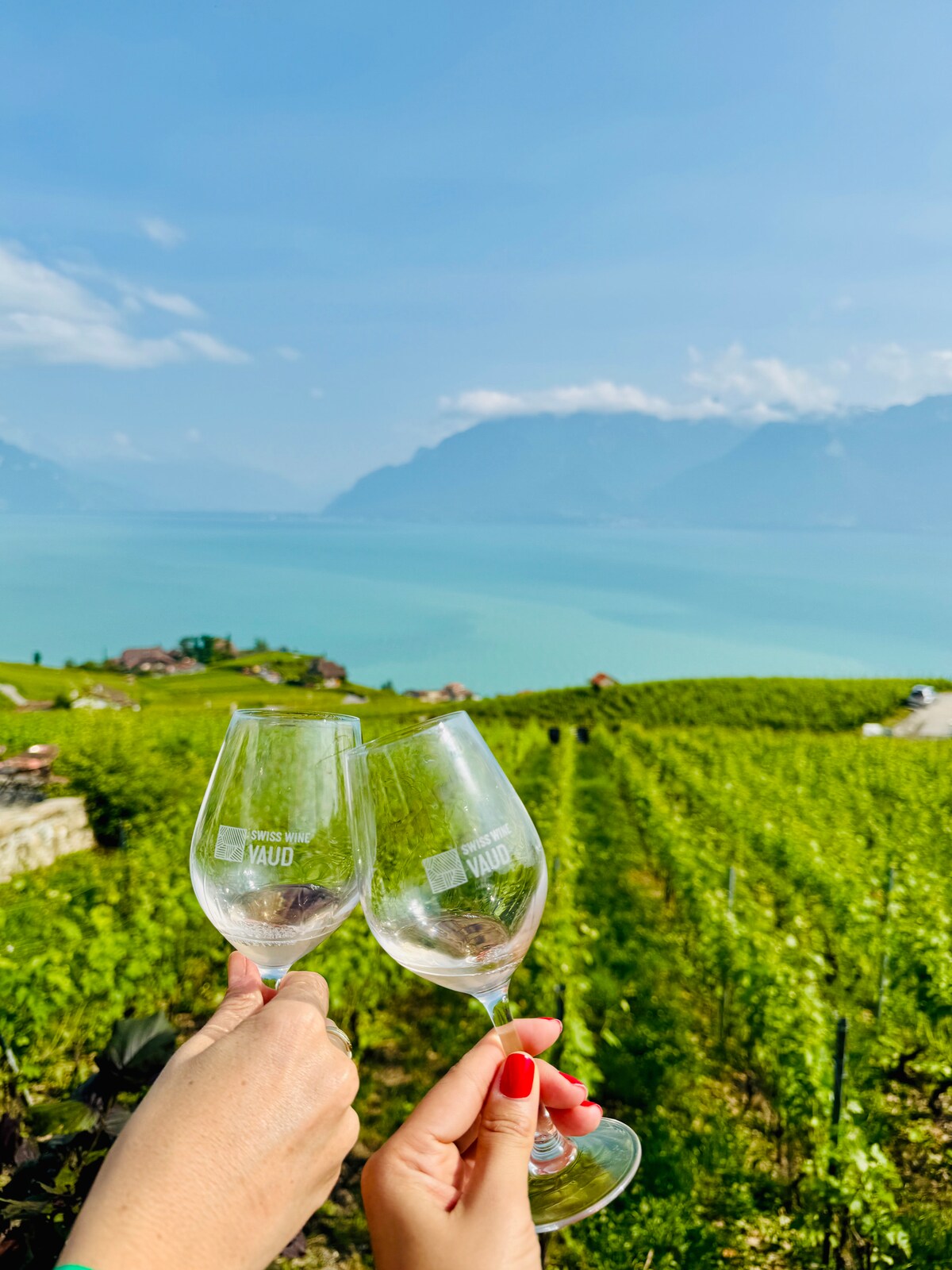Explore Lavaux wine culture with a sommelier