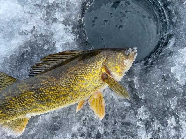 Hokanson Family Farms Ice Fishing Experience