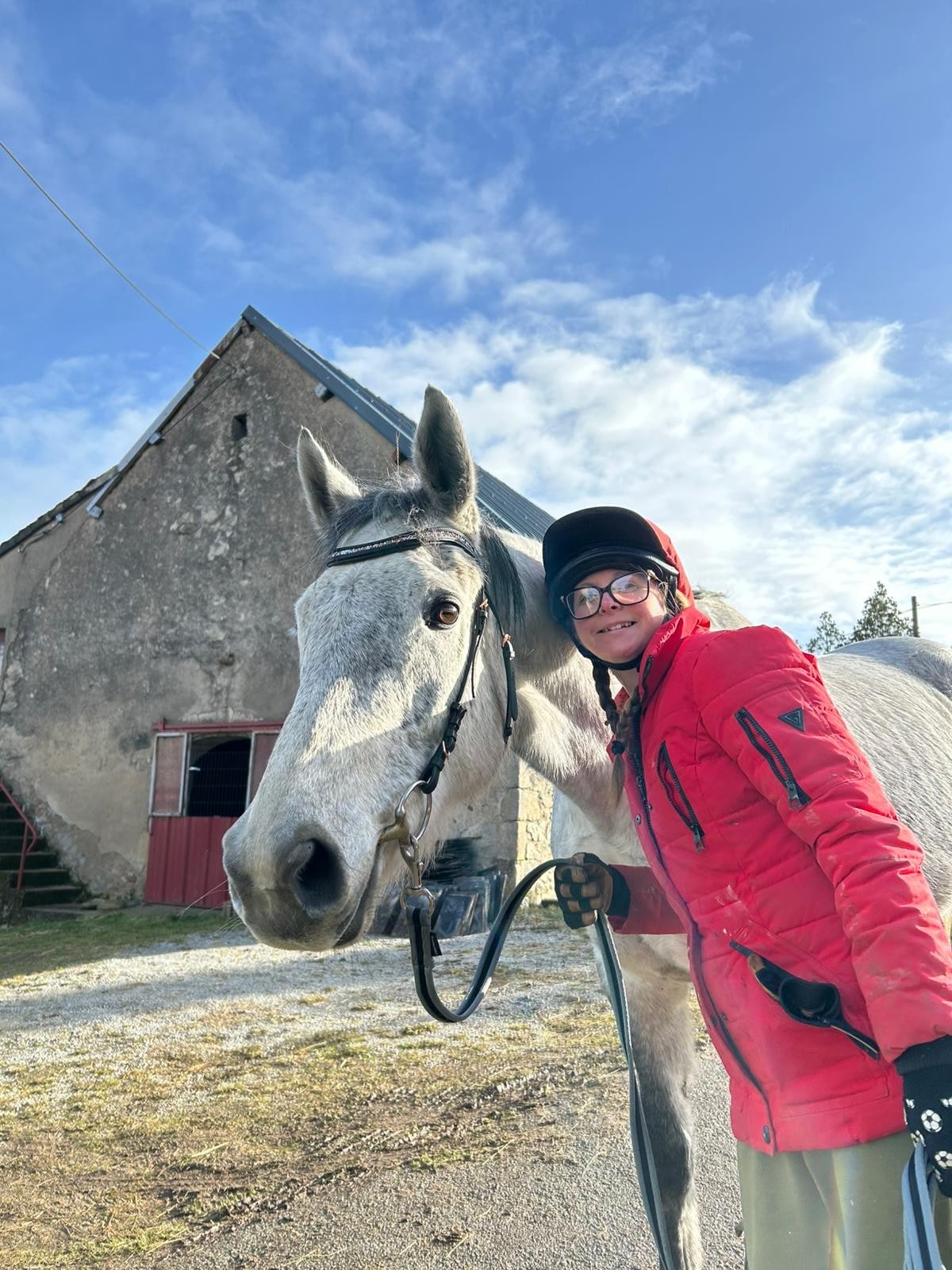 Horse grooming in the countryside