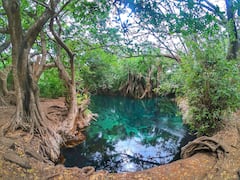 Cascadas Materuni, café y aguas termales Kikuletwa