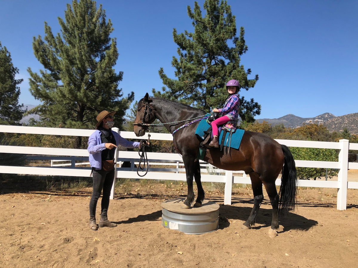 Learn to Ride a Horse Near Mountains of Idyllwild