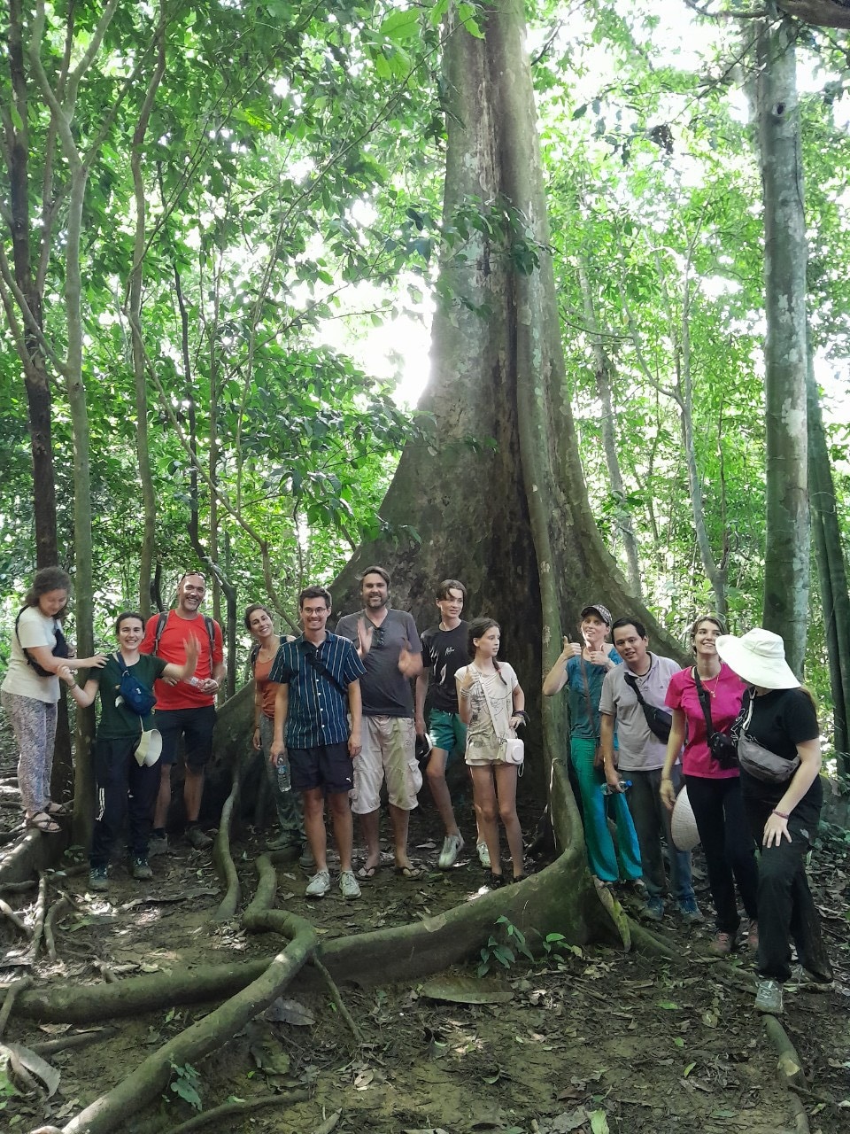 From Ninh Binh: Discovery Cuc Phuong National Park