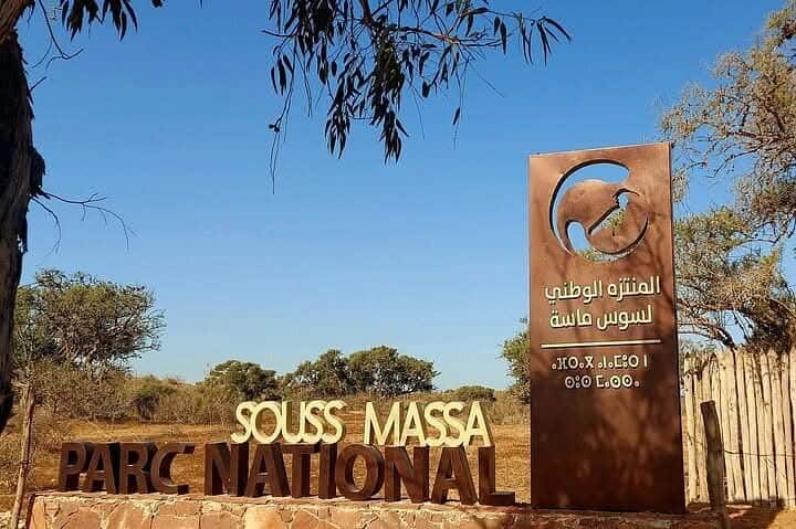Safari ya Saa 6 ya 4×4 na Jasura ya Northern Bald Ibis