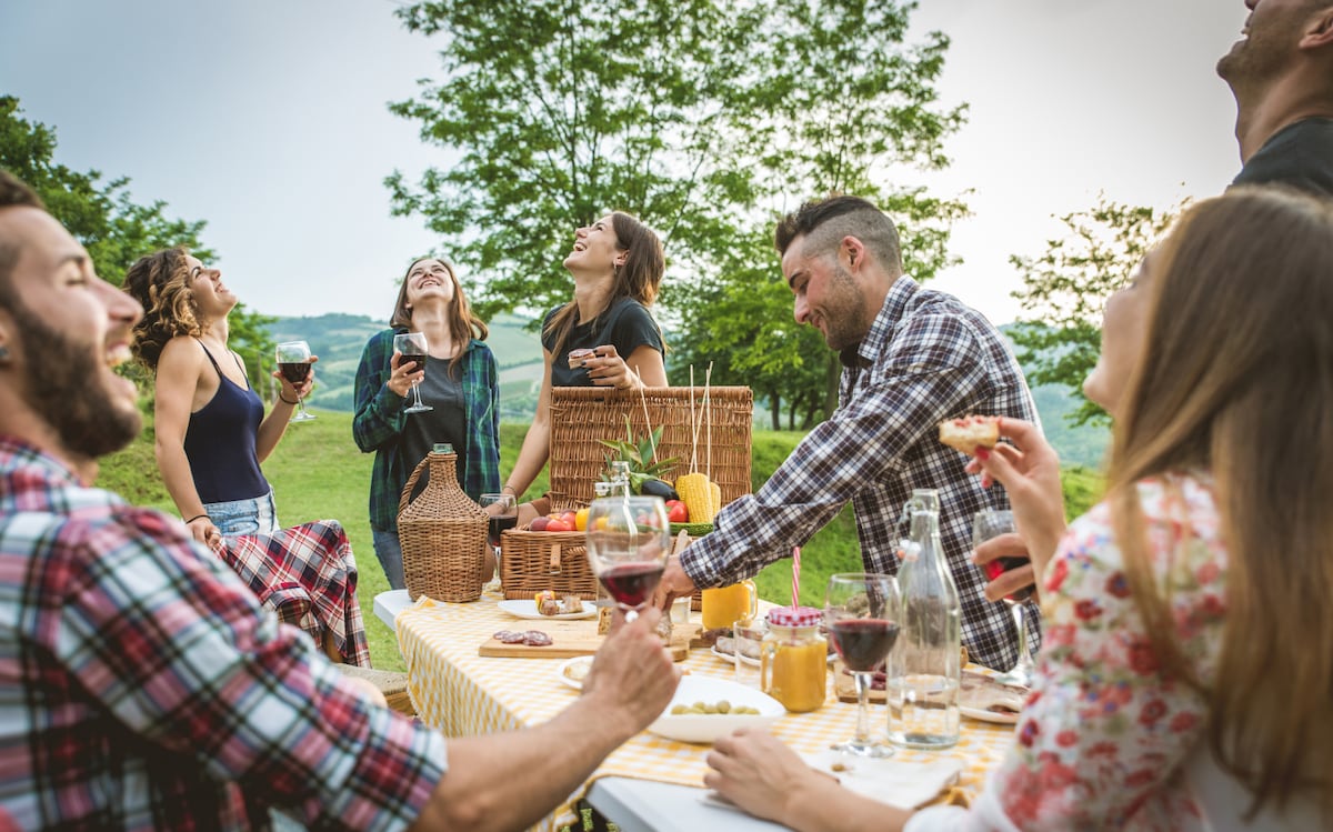 Tasting & Pairing in the Mountains