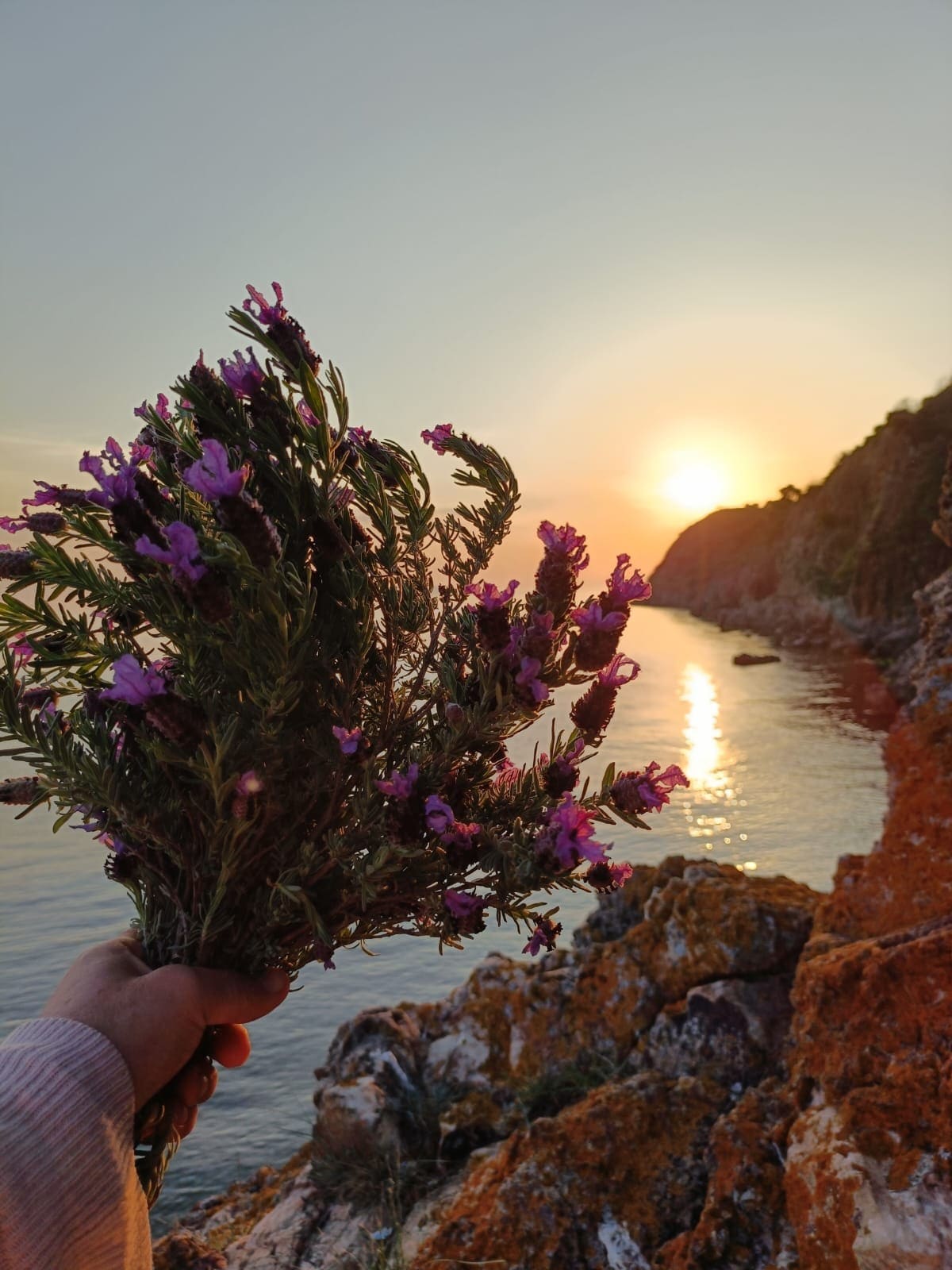 Büyükada Scenic Hiking Experience