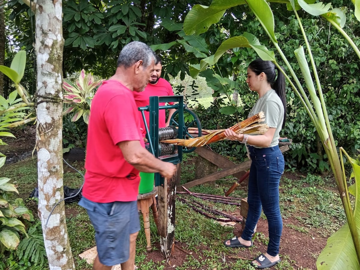 From Farm to Table: A Day on a Costa Rican Farm