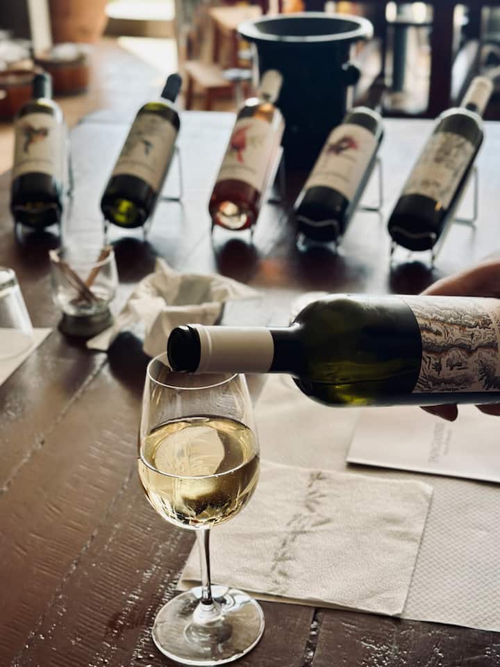 Опитайте гръцки вина със сомелиер