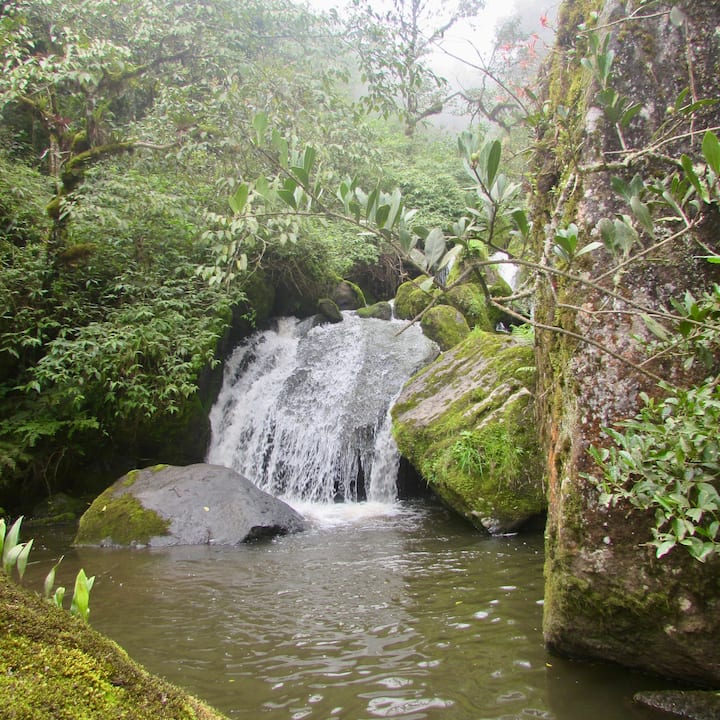 Njia ya Chorro de Plata–Mazingira ya Asili huko San Francisco