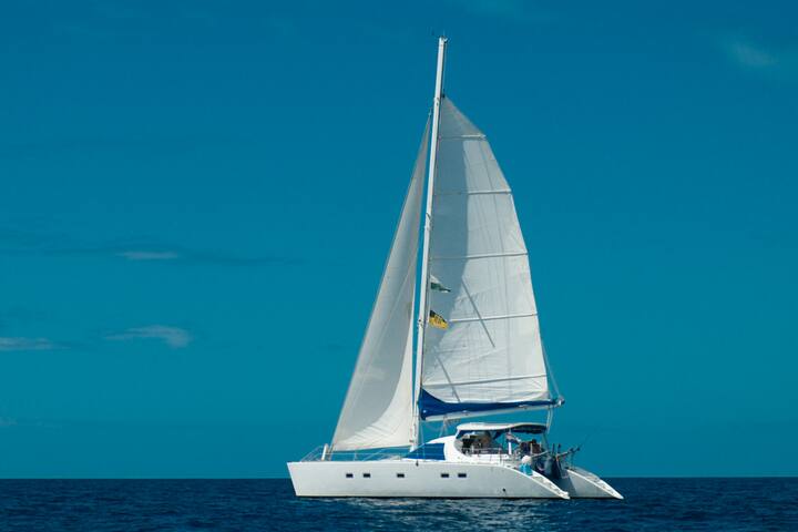 მშვიდი გემი კატამარანი ამსტერდამთან ახლოს