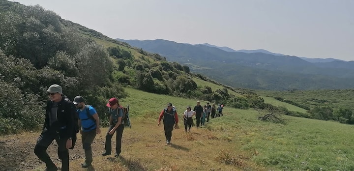 Matukio ya Yanna katika mazingira ya asili