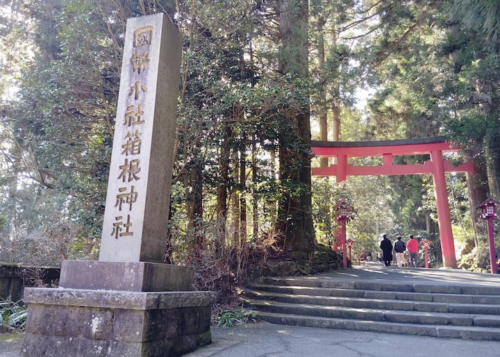 Токио: еднодневна екскурзия до Хаконе с круиз по езерото