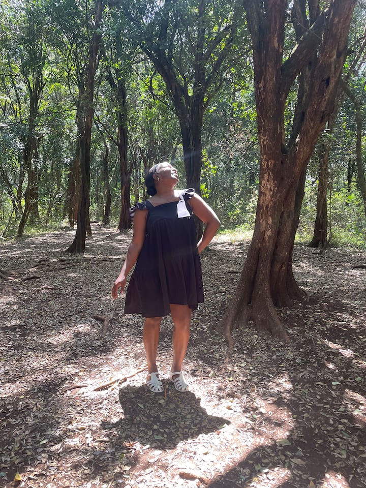 ओलोलुआ नेचर ट्रेल फॉरेस्ट एस्केप