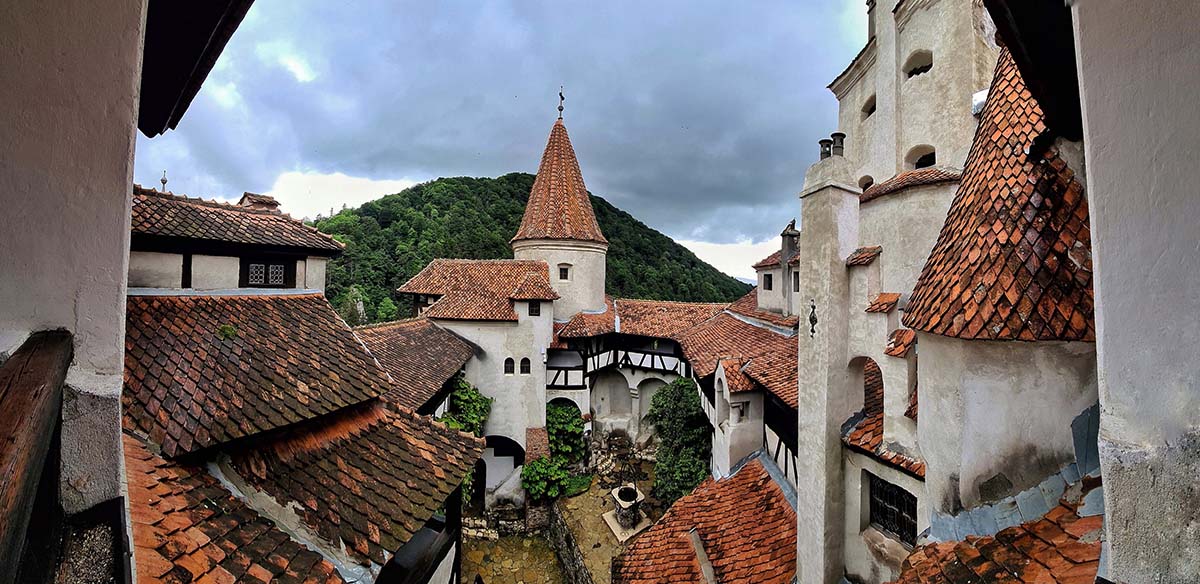 Bran Castle, Peles & Bear Sanctuary