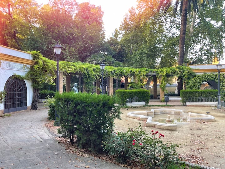 შექმენით მაგნიტები პოლაროიდის ფოტოებით ესპანეთის მოედანზე