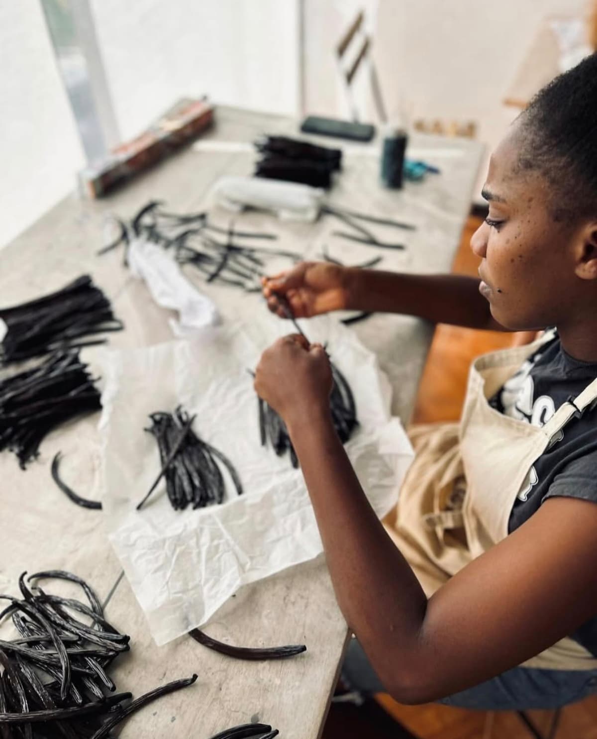 Vanilla Museum & Plantation Tour