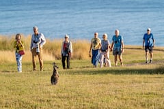 Прогуляйтесь на закате по заповеднику Wildlife Wonders