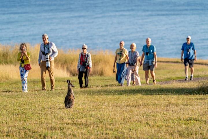 Take a private dusk walk at Wildlife Wonders