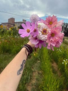 צור את הזר שלך מבין הפרחים ב-flower farm
