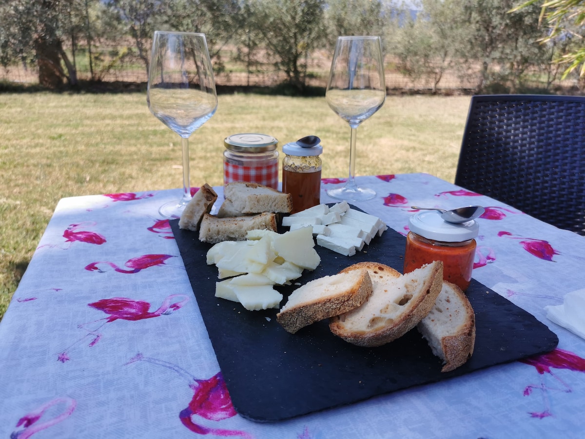 Gattopardu Company oil and wine tasting