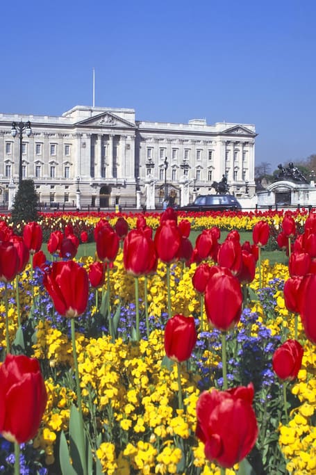 Buckingham Palace Tickets