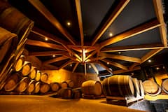 Visita a las bodegas