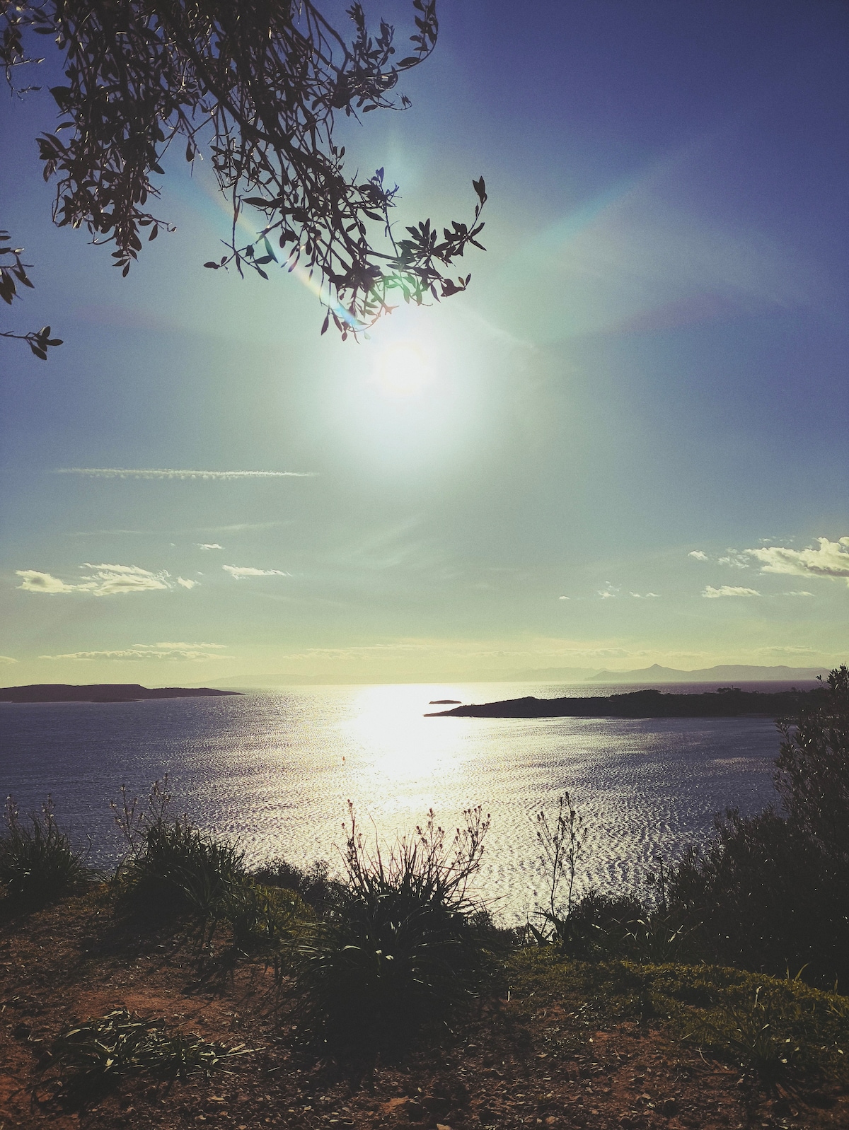 Stroll scenic hill trails with a mindful guide