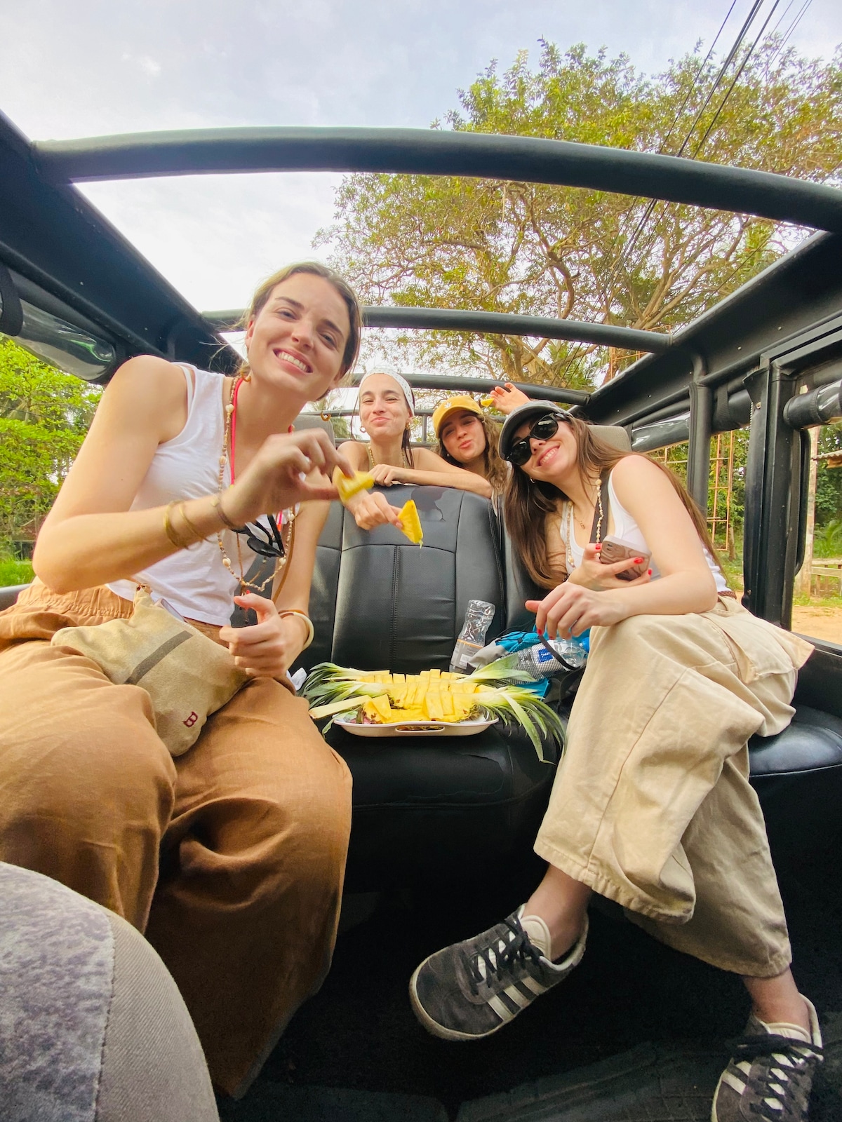 Private Jeep Safari with Elephant Expert